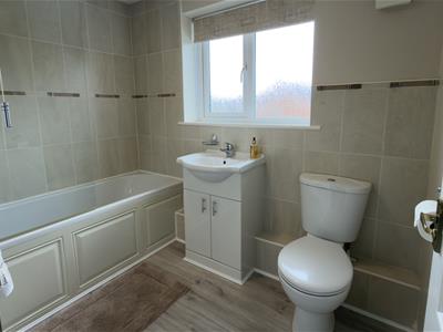 Picture 26